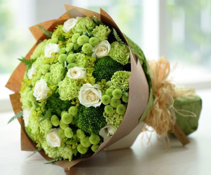 hinh anh bo hoa hong xanh la cay tuyet dep