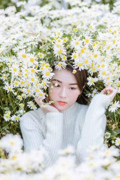 người đẹp dưới nùm hoa cúc dại màu trắng