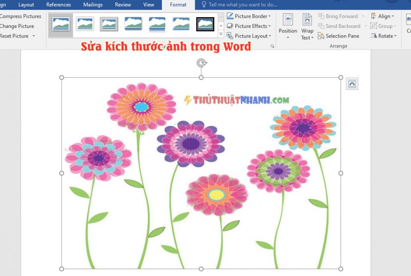 sua kich thuoc anh trong word