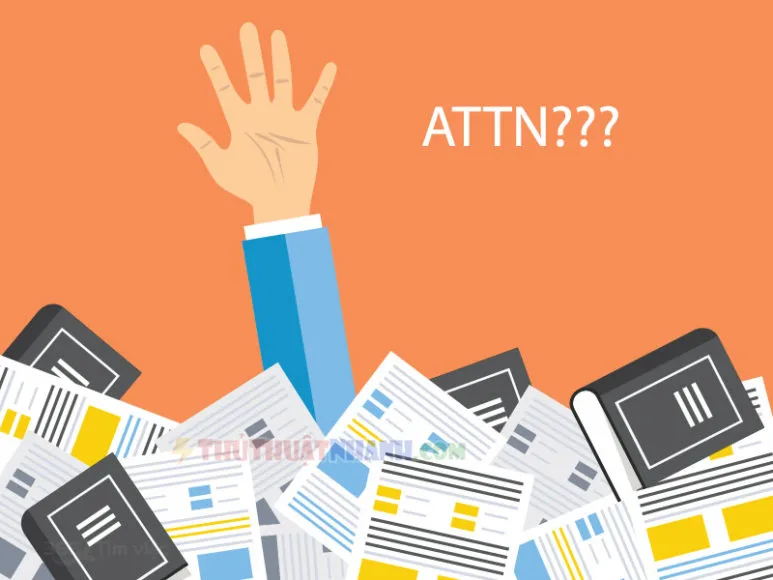 y nghia cua attn