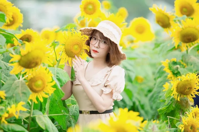 ảnh hot girl tạo dáng bên những bông hoa hướng dương