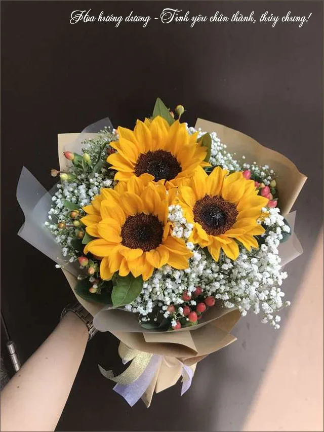 bo hoa huong duong va y nghia cua tinh yeu