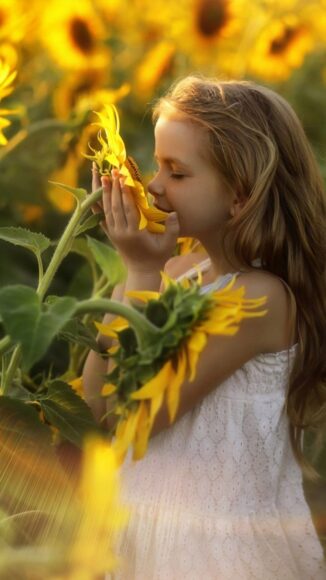 chụp ảnh bé gái ngửi hương thơm của hoa hướng dương
