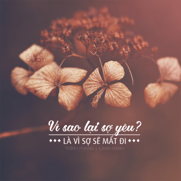 hình ảnh chữ buồn về tình yêu