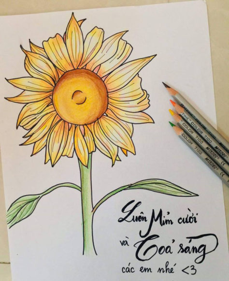 hình vẽ tô màu hoa hướng dương cho bé