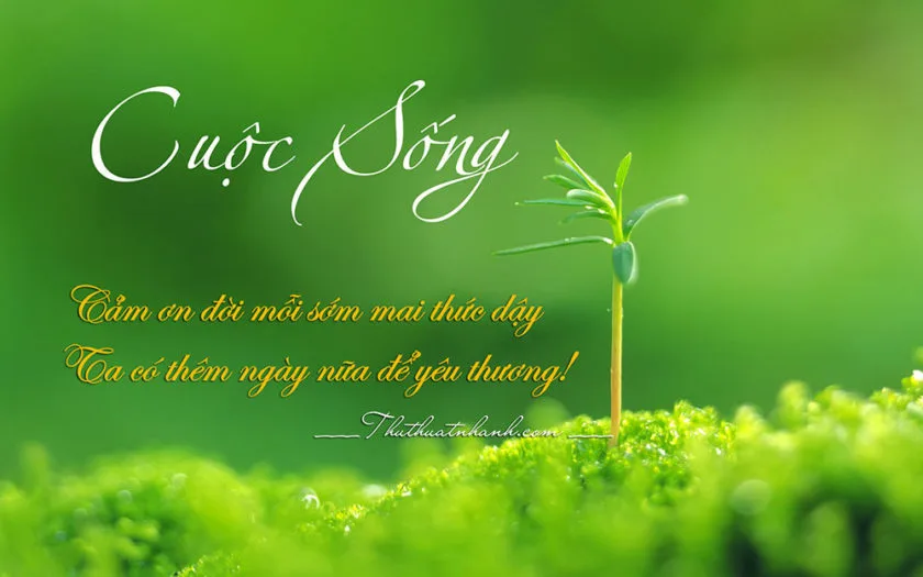 Những bài thơ hay ngắn ý nghĩa về cuộc sống tươi đẹp