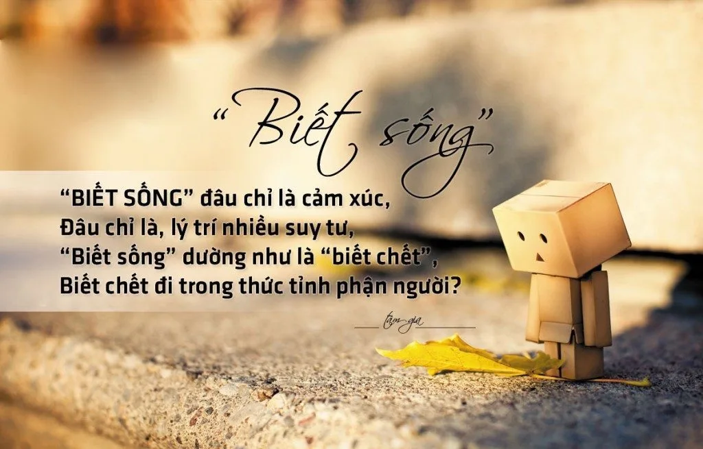 Những bài thơ hay, ý nghĩa về tinh thần lạc quan trong cuộc sống