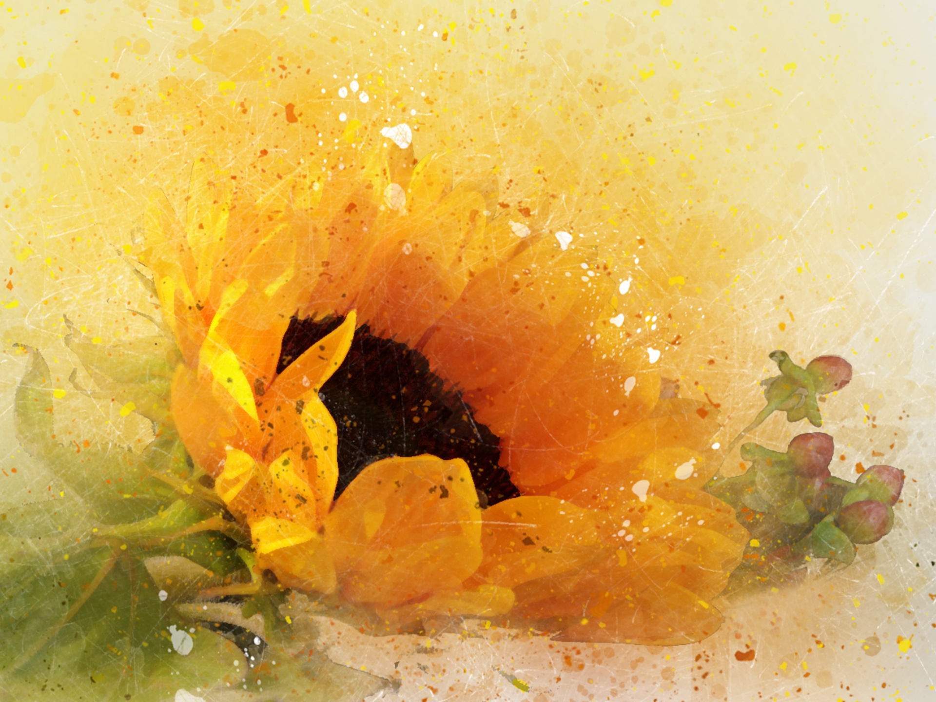 Chi tiết hơn 344 tranh vẽ hoa hướng dương siêu hot  Tin Học Vui