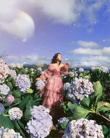 y nghia hoa cam tu cau