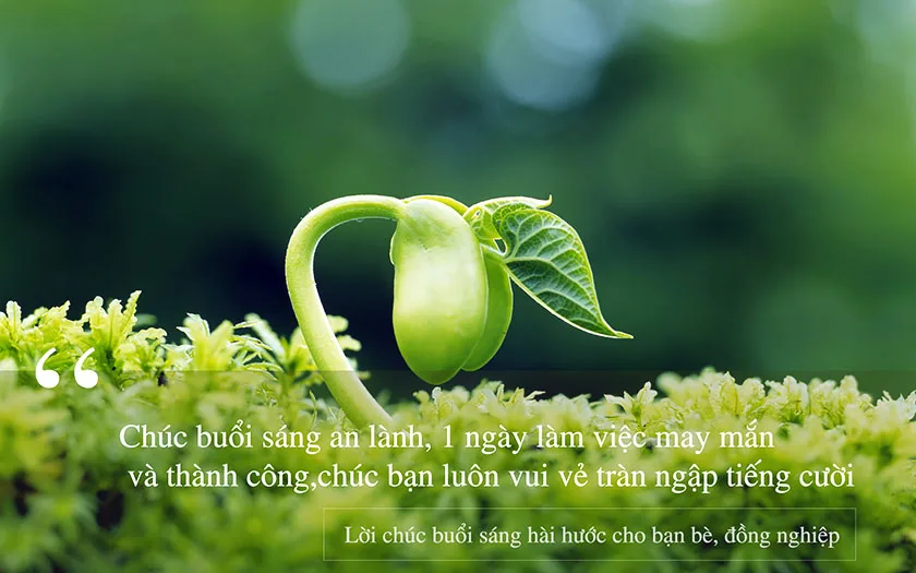 Lời chúc buổi sáng hài hước cho bạn bè, đồng nghiệp