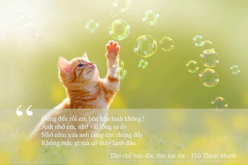 Thơ chế bựa độc đáo tục tĩu tầm bậy
