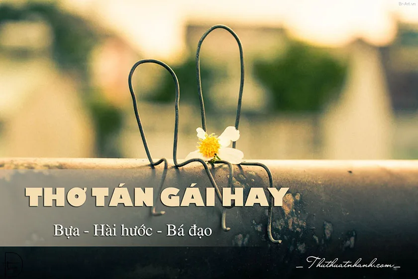 thơ tán gái hay bựa bá đạo hài hước