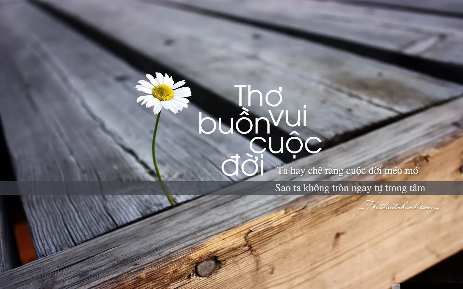 thơ vui buồn với cuộc đời triết lý