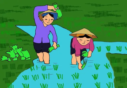 tranh vẽ mẹ đi cấy vất vả