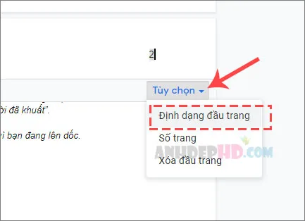 cách định dạng số trang cho tài liệu