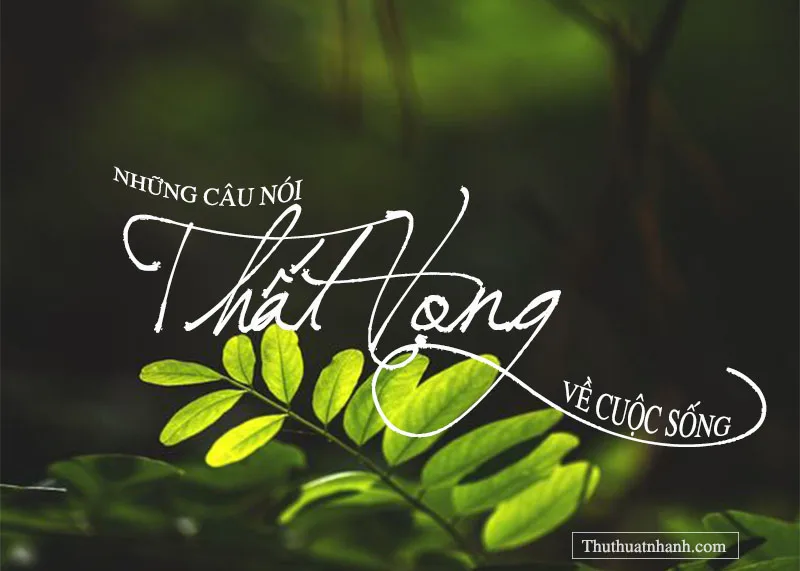 Những câu nói thất vọng về cuộc sống