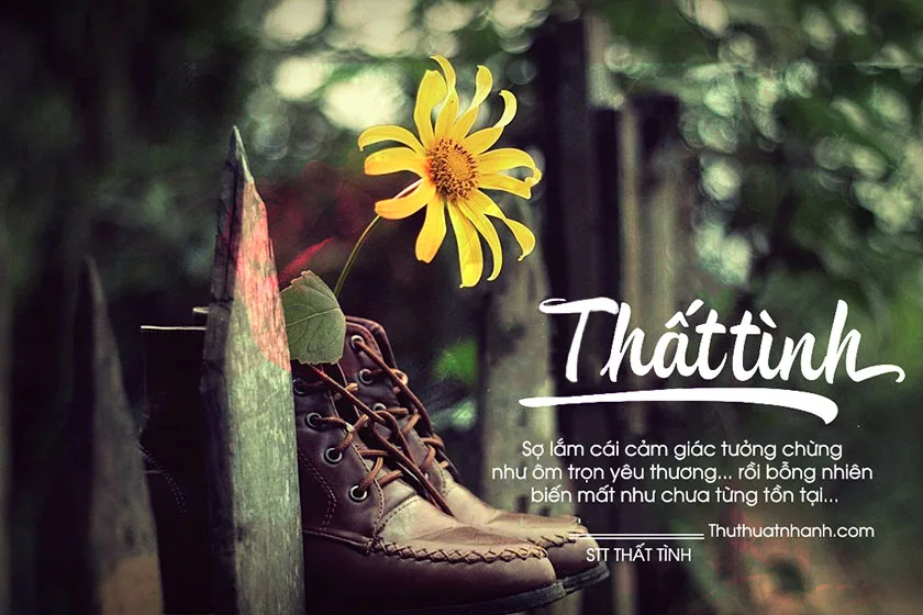 stt thất tình