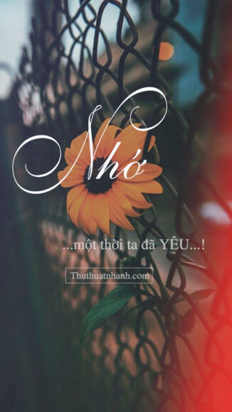ảnh chữ nhớ một thời ta đã yêu