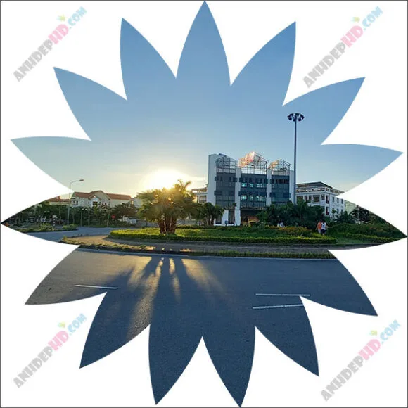 cắt ảnh khung hình bông hoa với nền màu trắng