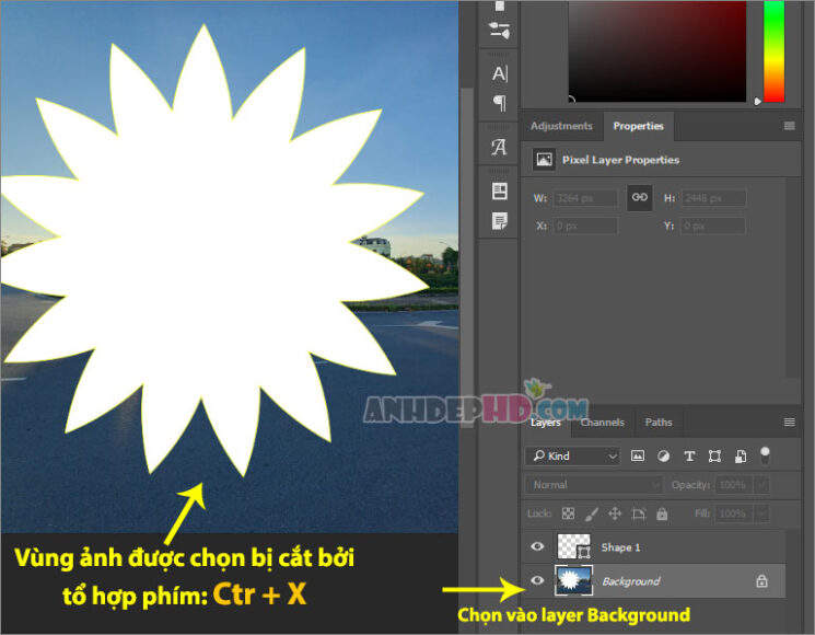chọn layer Background và ctr x