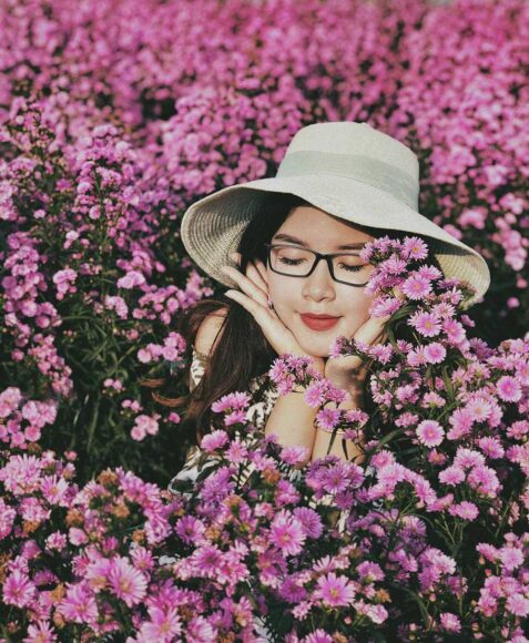 Hình ảnh hoa thạch thảo và cô gái