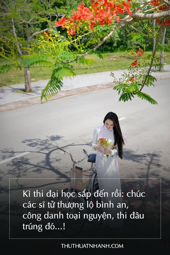 Hot 35 hình ảnh chúc thi tốt ấn tượng nhất dành tặng bạn bè 2019  Diễn đàn  Bác Sĩ Gia đình Việt Nam  Cộng Đồng forum Bác Sĩ