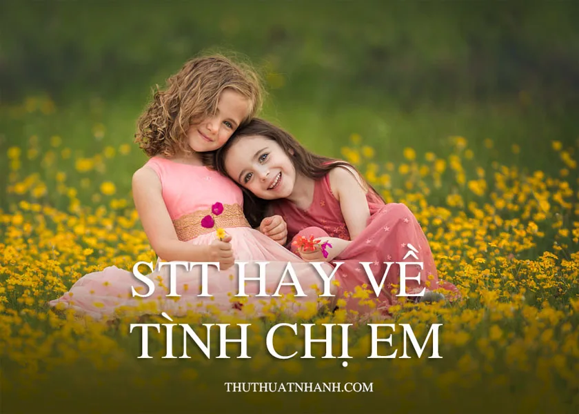 stt hay về tình chị em