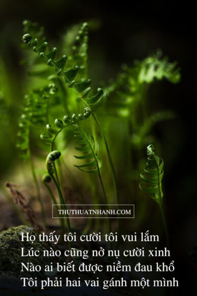 Thơ 7 chữ về cuộc sống