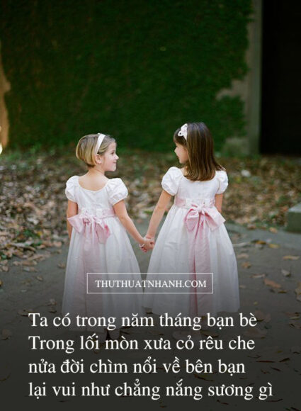 Thơ 7 chữ về tình bạn