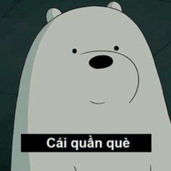 ảnh avatar hài đẹp