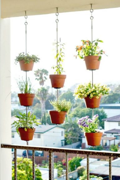 ảnh cây cảnh đẹp - chậu cây được treo sáng tạo tiết kiệm không gian nhưng vẫn đẹp mắt