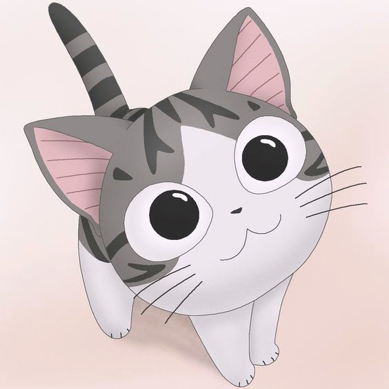 ảnh đại diện anime mèo ánh mắt háo hức