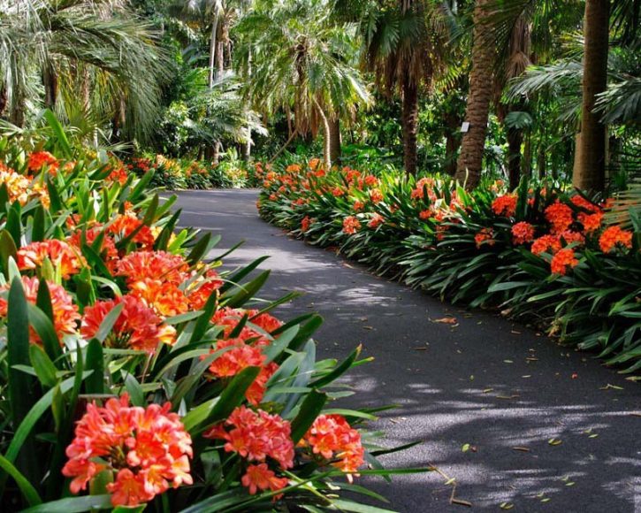 ảnh đoạn đường lan quân tử