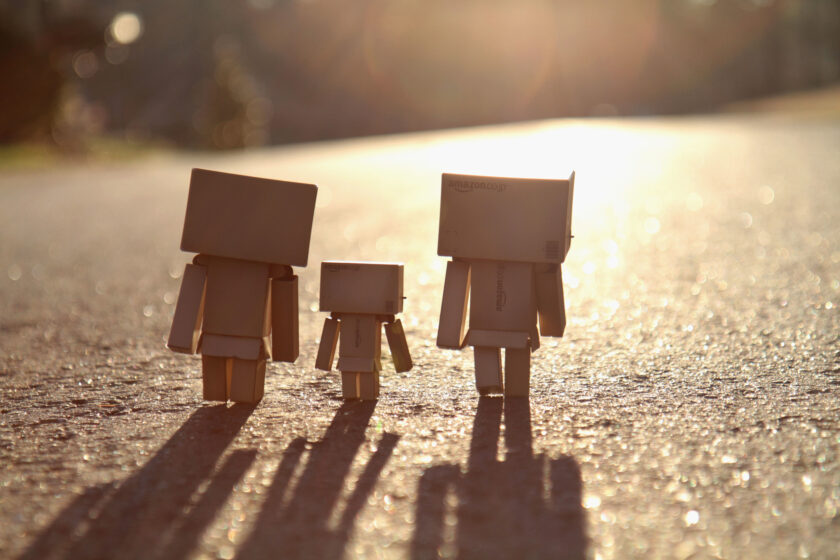 ảnh gia đình người gỗ