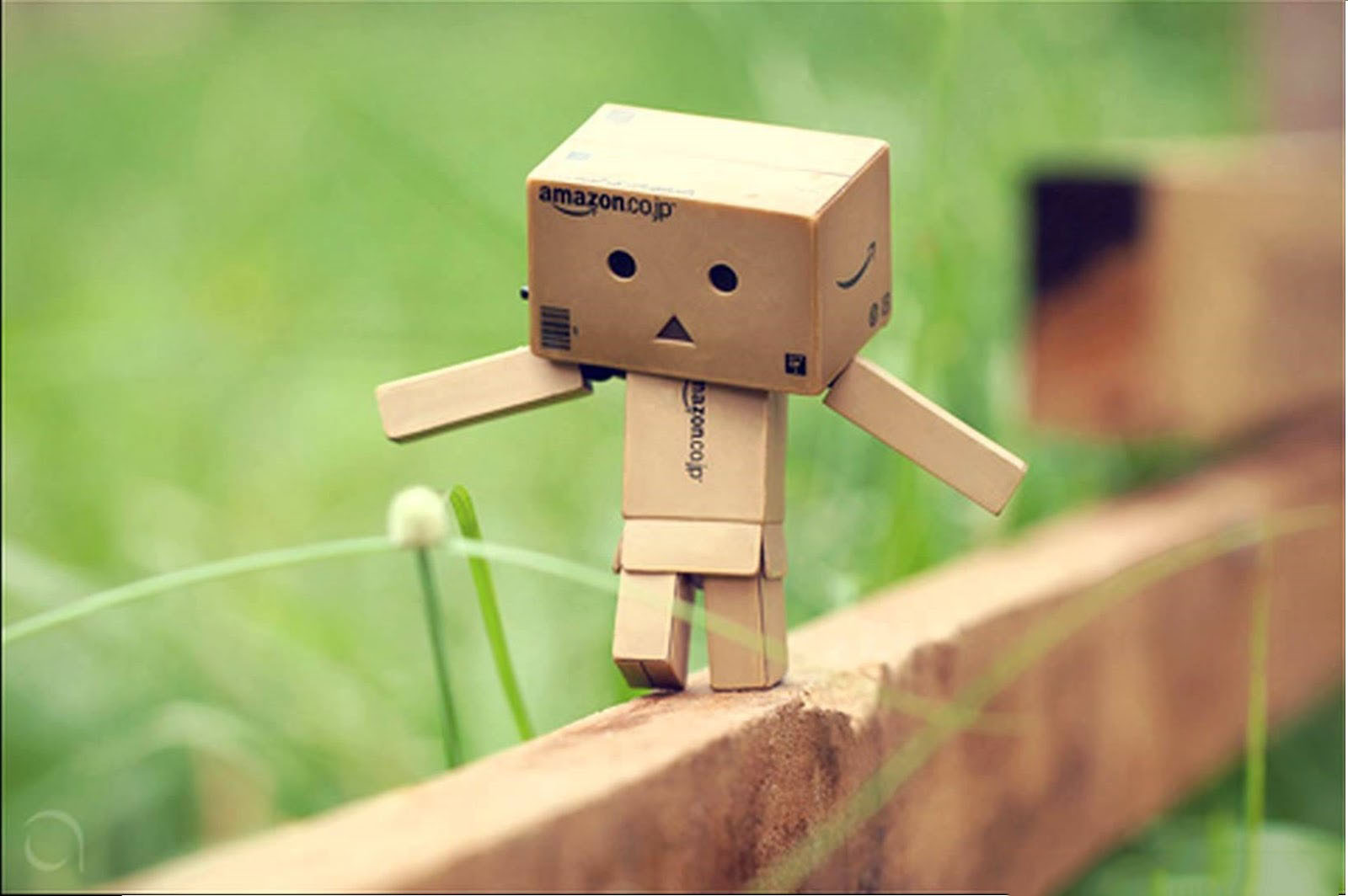 Những Hình Ảnh Người Gỗ Danbo Dễ Thương, Buồn Dưới Mưa