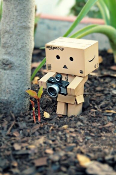 ảnh người gỗ chụp hình