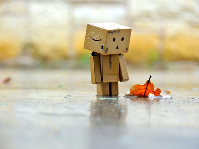 ảnh người gỗ dưới mưa