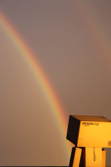 ảnh người gỗ ngắm cầu vồng