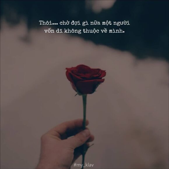 ảnh yêu đơn phương