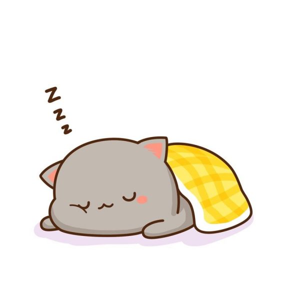 avatar mèo ngủ siêu cute dễ thương