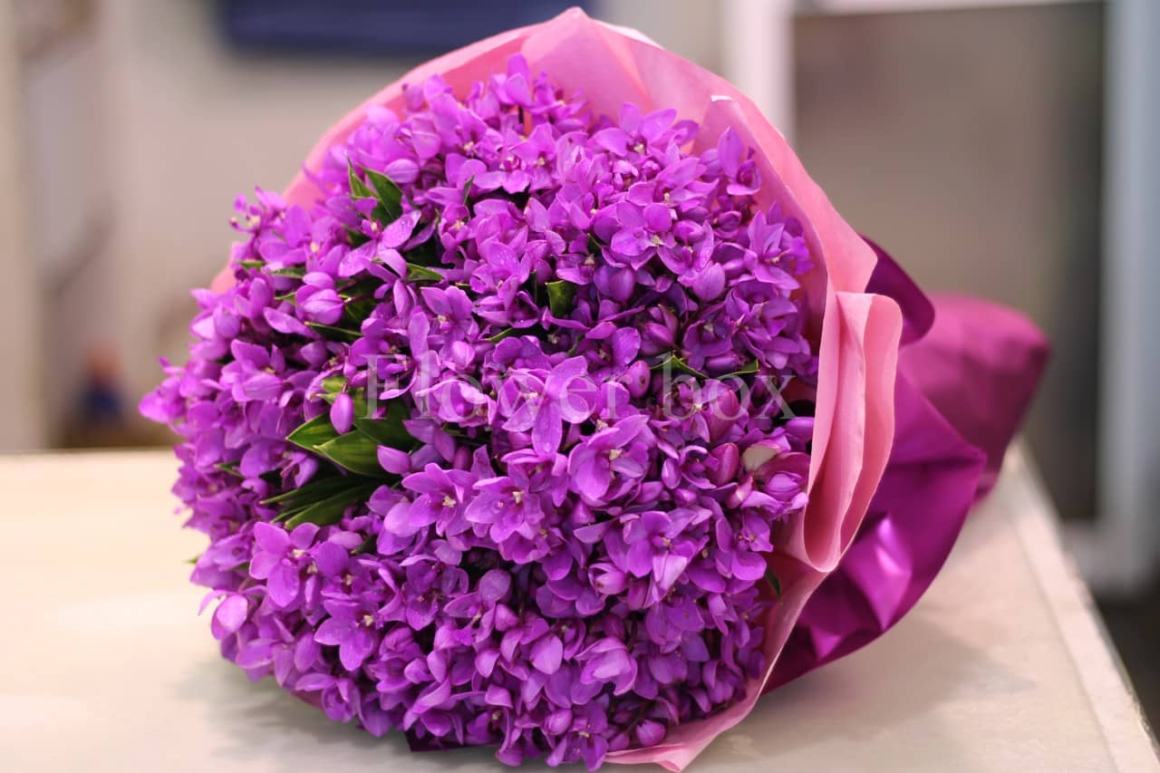 Hình ảnh, ý nghĩa hoa Violet - Sự rụt rè, thuỷ chung