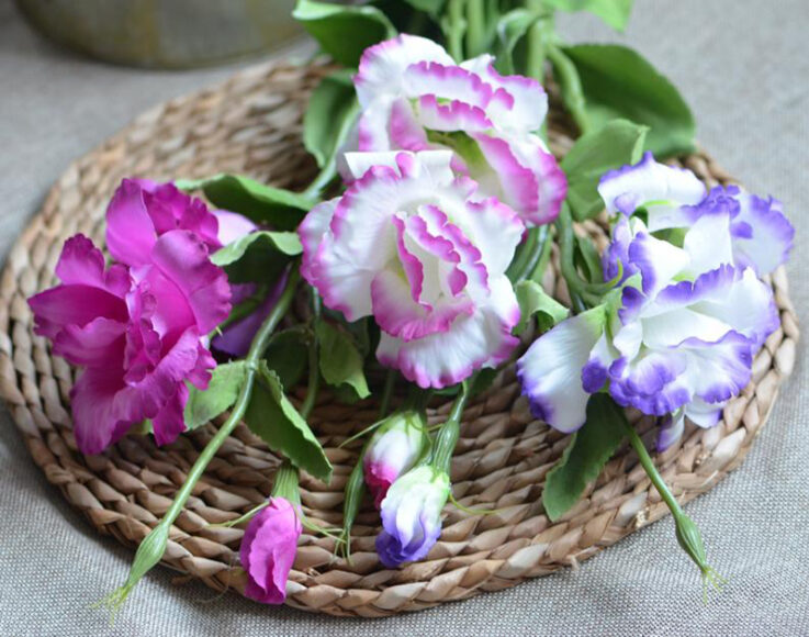 Hình ảnh bông hoa cát tường