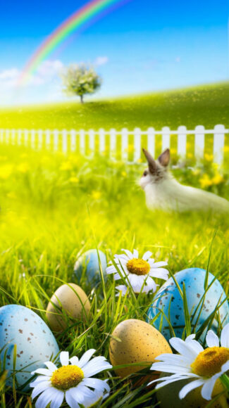 Hình ảnh cầu vồng thỏ và quả trứng