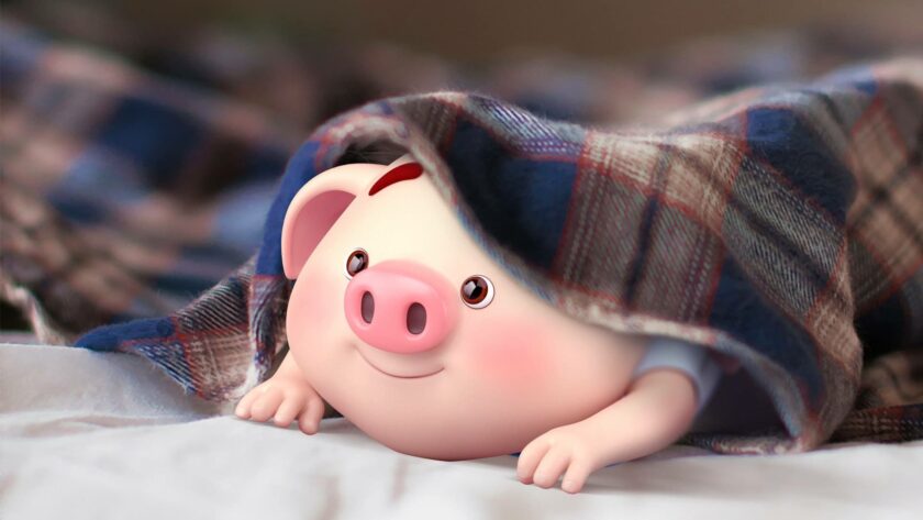 Hình ảnh con lợn nằm dưới chăn
