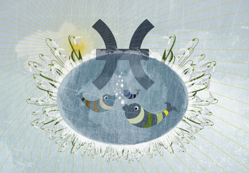 Hình ảnh cung Song Ngư màu xám