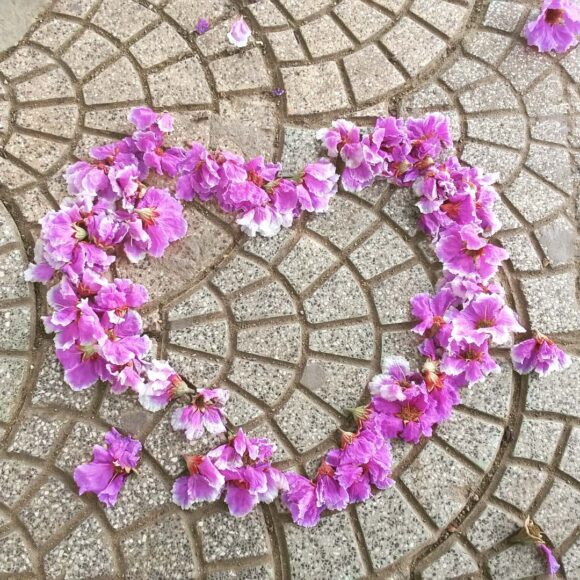 Hình ảnh hoa bằng lăng xếp trái tim