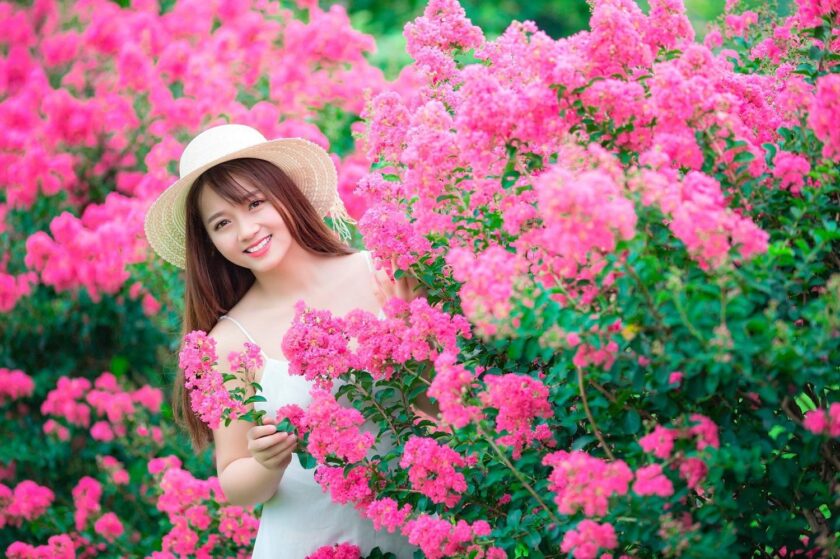 Hình ảnh hoa tường vi và cô gái