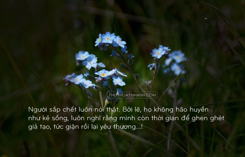 hình ảnh tâm sự buồn cô đơn về tình yêu