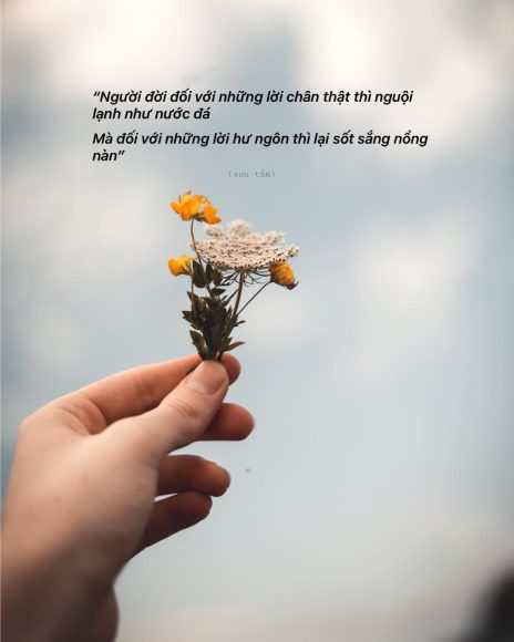 hình ảnh tâm sự buồn đẹp