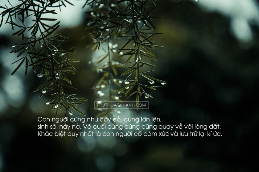 hình ảnh tâm sự buồn về cuộc sống